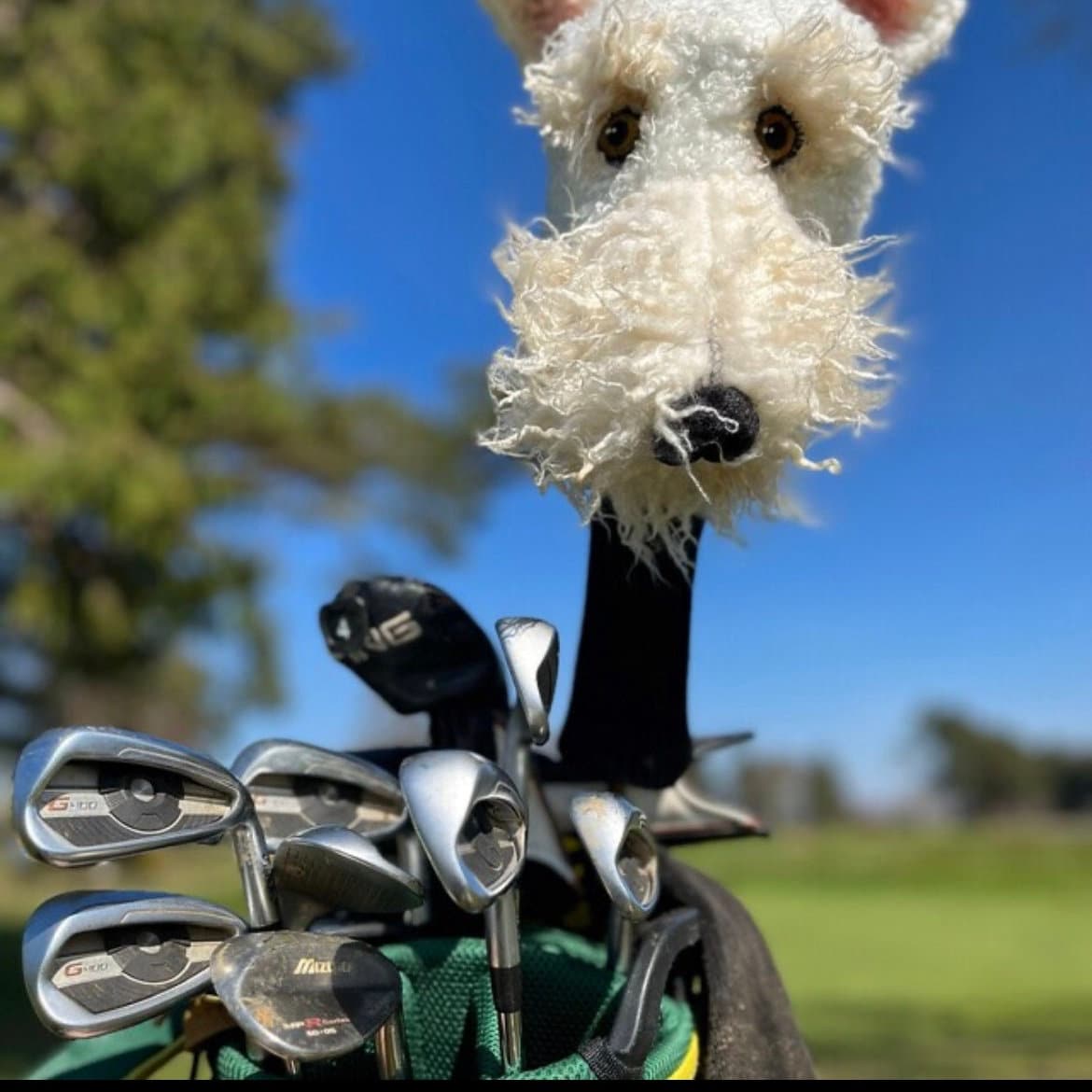 Custom Welsh Terrier Golf Headcover – Personalised Dog Portrait Golf  Gift