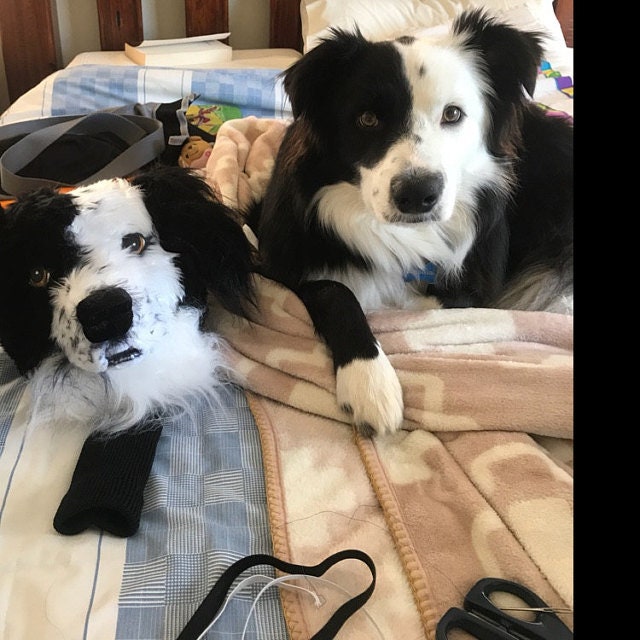 Custom Border Collie Golf Headcover – Personalized Pet Portrait Golf Gift