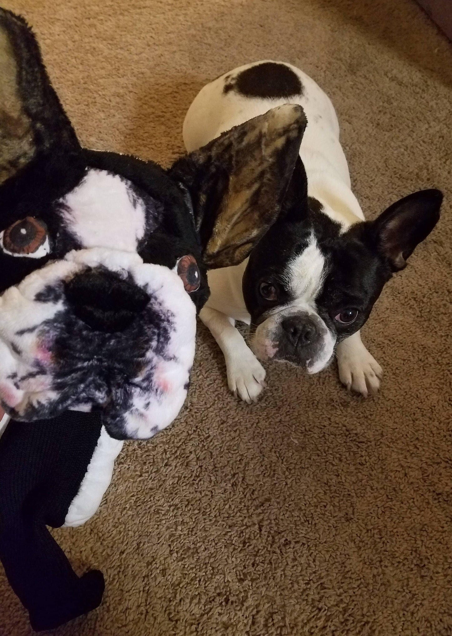Custom French Bulldog Golf Headcover – Personalised Dog Portrait Golf Club Cover – Unique Gift for Dog Lovers