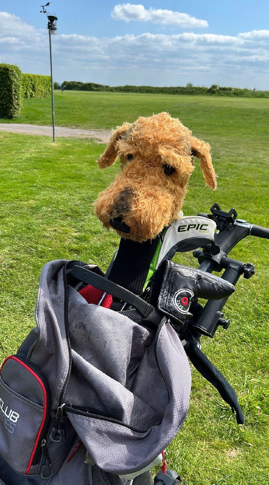 Custom Welsh Terrier Golf Headcover – Personalised Dog Portrait Golf  Gift