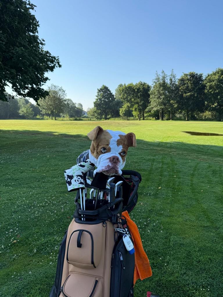 Custom Bulldog portrait Golf club headcover ,Personalised Dog Driver cover