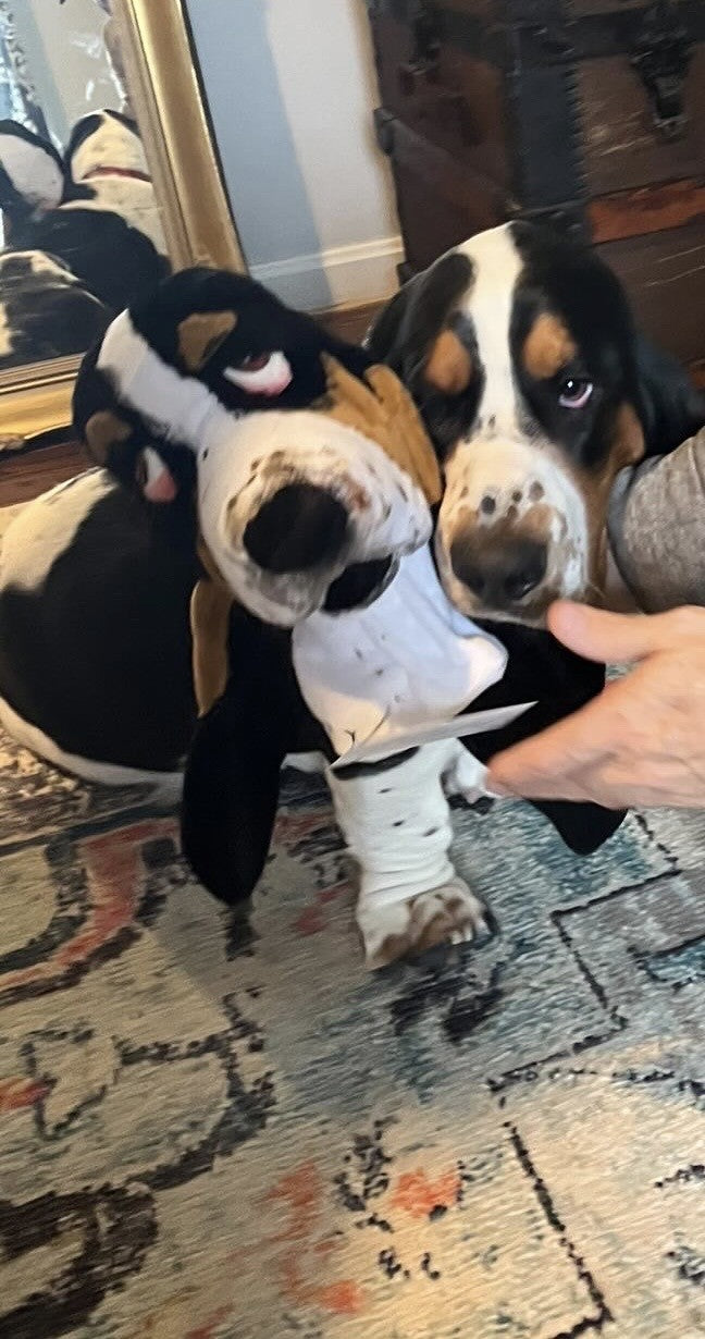 Custom Basset Hound Golf Headcover-Personalised Dog Father’s Day Golf Gift