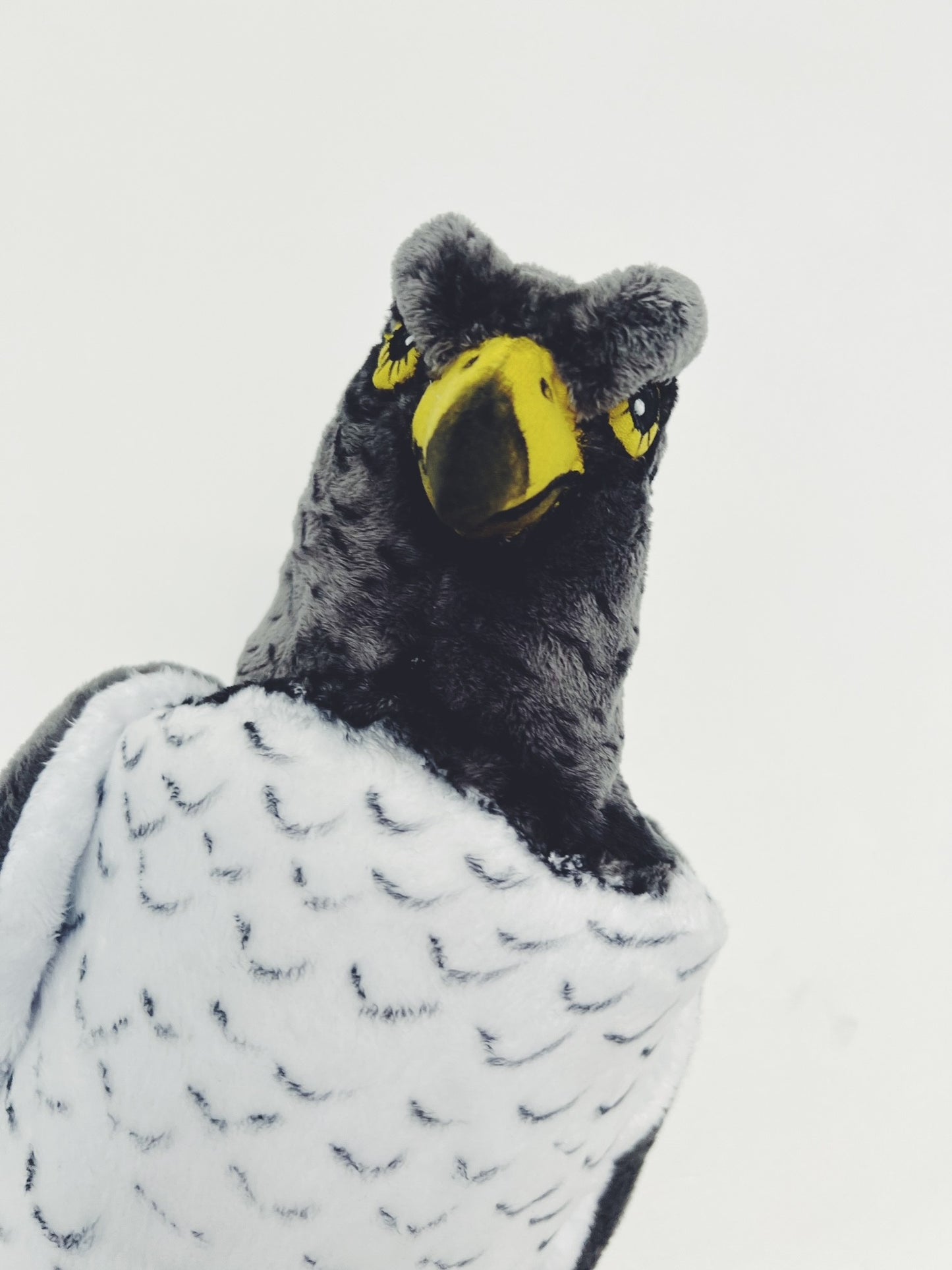 Perigrine Falcon Golf driver headcover, Unique Golfer gift, premium club protection